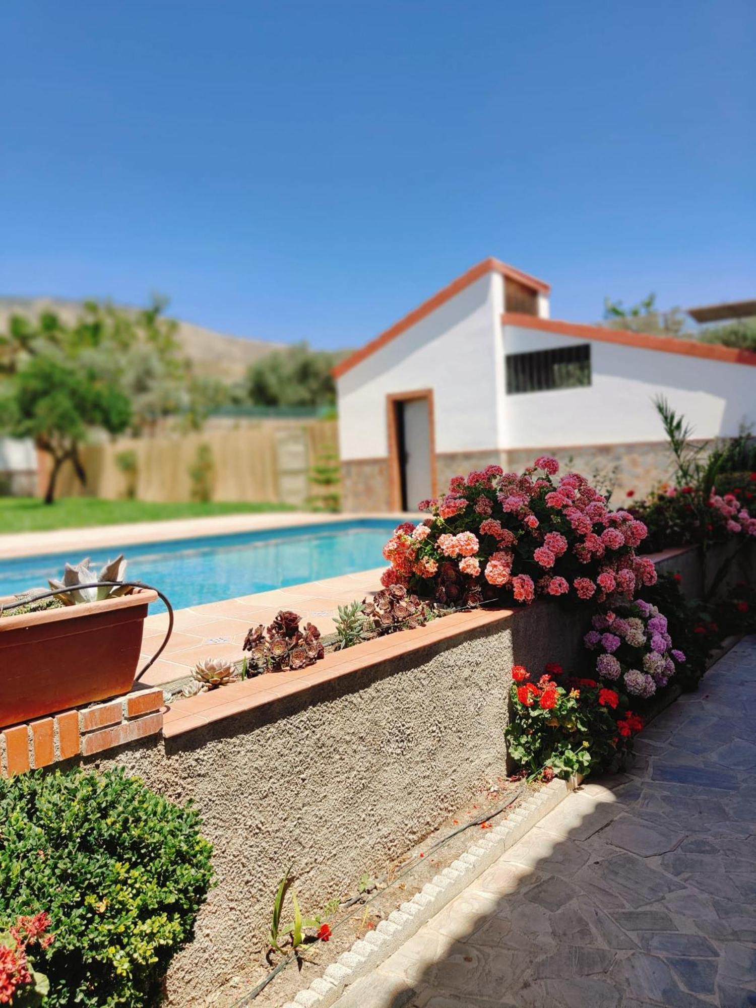אורגיווה Casa Rural Las Cuatro Flores מראה חיצוני תמונה