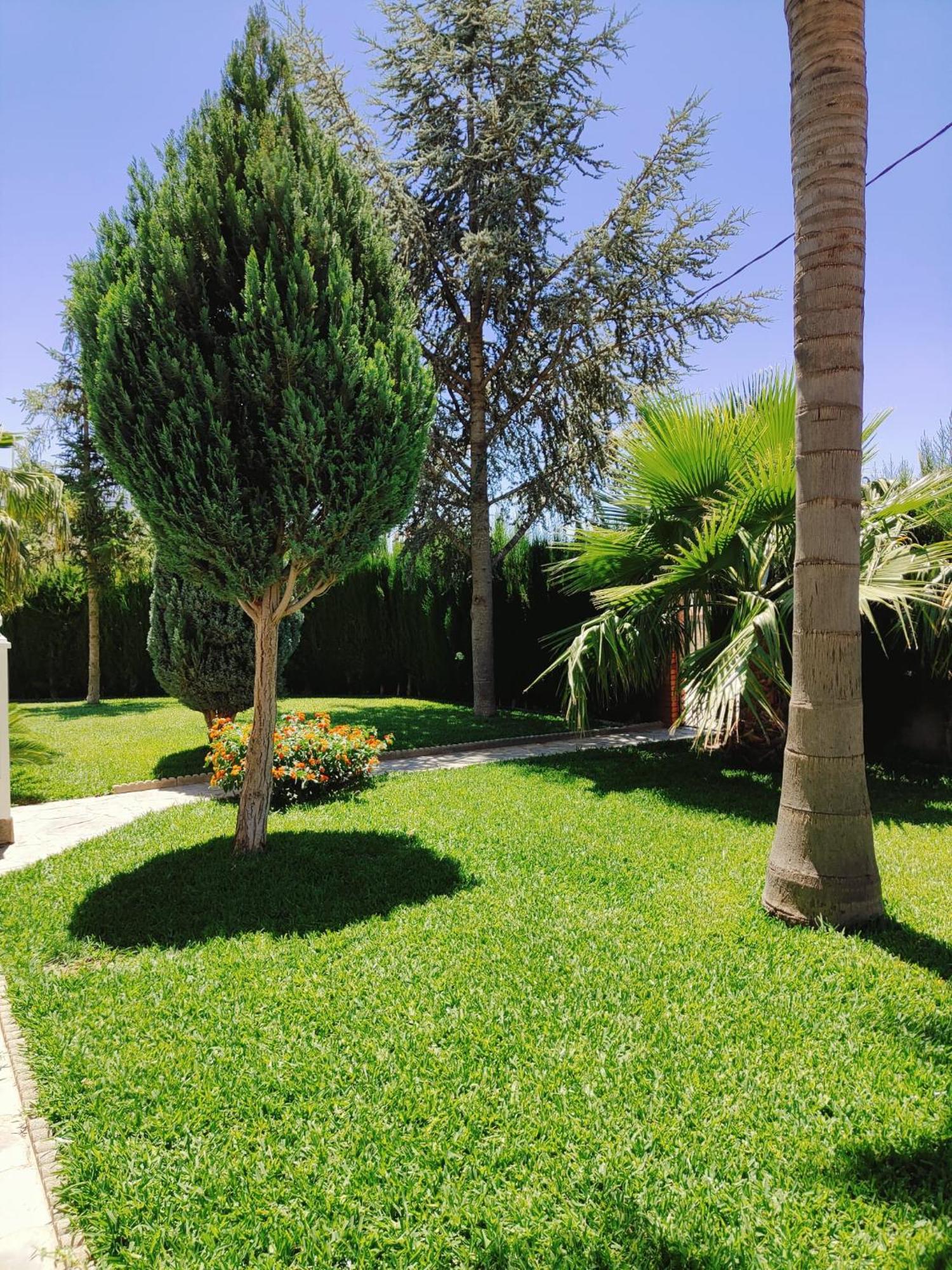 אורגיווה Casa Rural Las Cuatro Flores מראה חיצוני תמונה